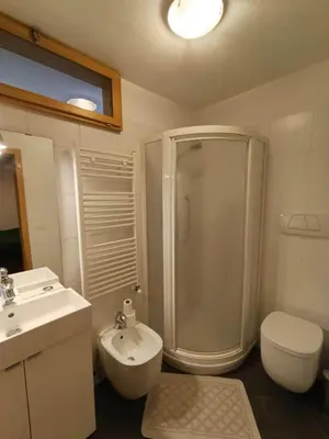a bathroom with a shower and a toilet and a sink at Majon jal Toni in Vigo di Fassa