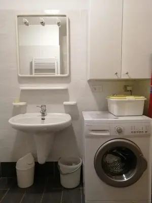 a bathroom with a sink and a washing machine at Casa Sergio in Ziano di Fiemme