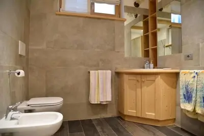 a bathroom with a toilet and a sink and a mirror at Casa Via Soia in Canale dʼAgordo