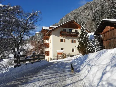 a cat walking in the snow in front of a building at Hanslmoar Hof in Colli in Pusteria