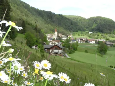 a field of flowers on a hill with a town at Hanslmoar Hof in Colli in Pusteria