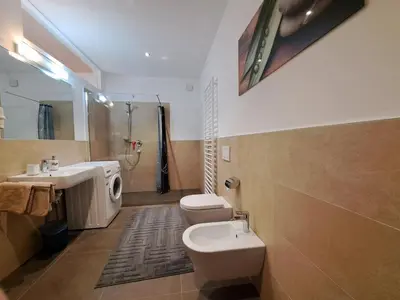 a bathroom with a toilet and a sink and a shower at Apartment Sonnschein Brunnerhof in Feldthurns
