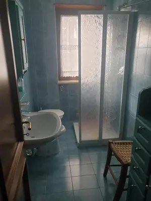 a bathroom with a sink and a shower at Dolomite Nest in Colle Santa Lucia
