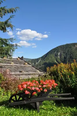 a bench with flowers in front of a building at Hofstatthof in Campo di Trens