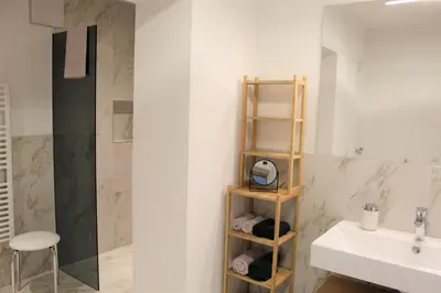 a bathroom with a sink and a shower at Fox Appartements in San Lorenzo di Sebato