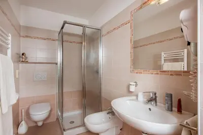 a bathroom with a shower and a sink and a toilet at Garni Ciamorc in Canazei