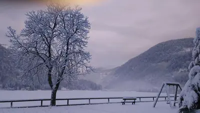a bench next to a tree in the snow at Appartamento Italia in Alleghe