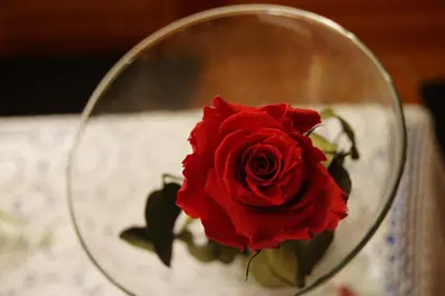 a red rose in a glass vase on a table at Ciasa Rü in San Cassiano