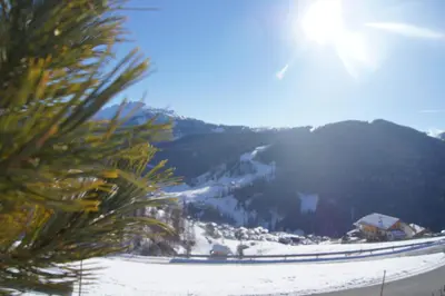 a view of a snow covered mountain with a pine tree at Ciasa Rü in San Cassiano