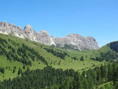 a green valley with mountains in the background at Apartment Cesa Cristina by Interhome in Campitello