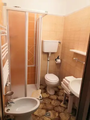 a bathroom with a toilet and a sink and a shower at Garnì Defrancesco in Campitello di Fassa