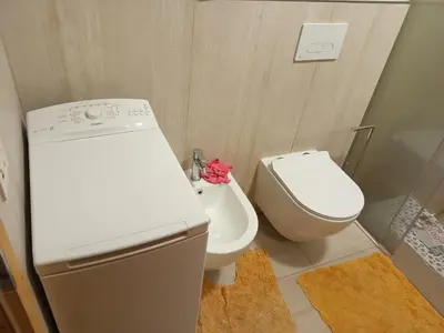 a small bathroom with a toilet and a sink at Trampolini House in Predazzo