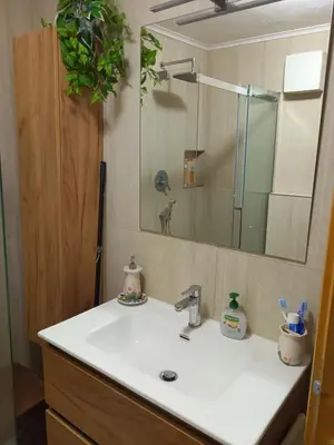a bathroom sink with a mirror and a shower at Trampolini House in Predazzo