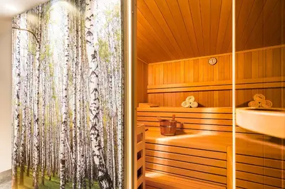 a sauna with a sink and a shower curtain at Hotel Jardis in Lana