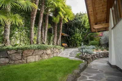 a stone wall next to a yard with palm trees at Villa Sissi in Laives