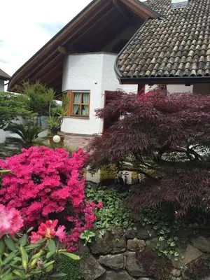 a house with pink flowers in front of it at Villa Sissi in Laives
