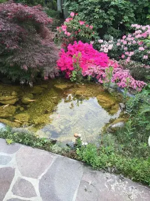 a garden with pink flowers and a pond at Villa Sissi in Laives