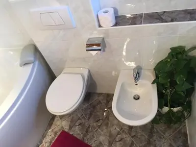 a bathroom with a toilet and a sink and a plant at Ferienwohnung im schönen Südtirol in Fiumes