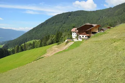 a house on top of a grassy hill at Bärntalerhof in Falzes