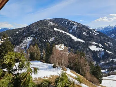 a view of a mountain with snow and trees at Urlaub auf den Bauernhof Brunnerhof in Floronzo