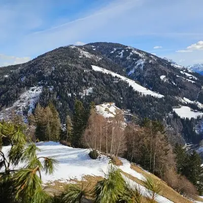 Urlaub auf den Bauernhof Brunnerhof