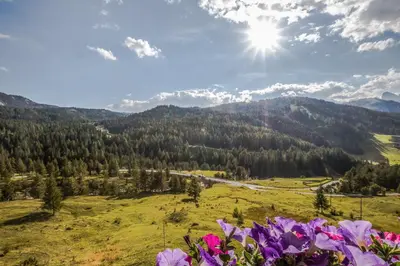 a view of a valley with flowers in the foreground at Garni Baita in San Cassiano