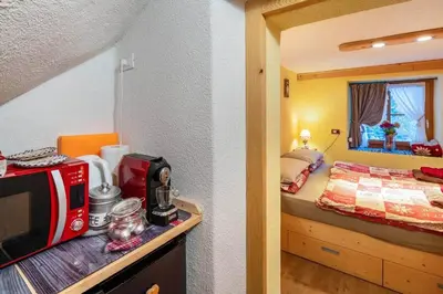 a bedroom with a bed and a microwave on a counter at Ciesa del Selmo Faure in Sottoguda