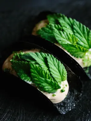 a sandwich with green leaves on top of it at Terra - The Magic Place Relais & Châteaux in Sarntal