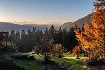 a view of a field with trees and mountains at Terra - The Magic Place Relais & Châteaux in Sarntal