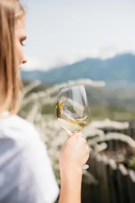 a woman is holding a glass of wine at Baumgartnerhof in Lagundo