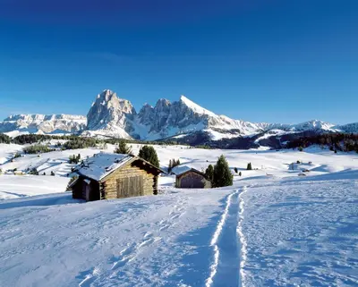 a snow covered field with a barn and tracks in the snow at Hotel Friedemann in Rasùn di Sotto
