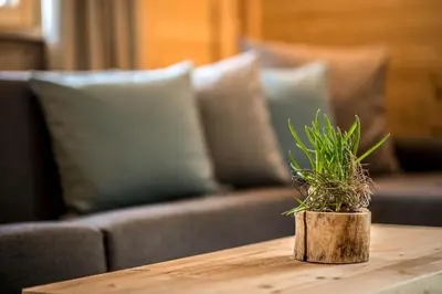 a plant on a table in front of a couch at Mountain Chalet Pia in La Valle