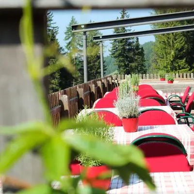 a set of tables with red chairs and plants at Berghotel zum Zirm in Collalbo