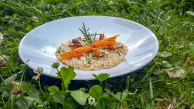 a white plate of food on the grass at Berghotel zum Zirm in Collalbo