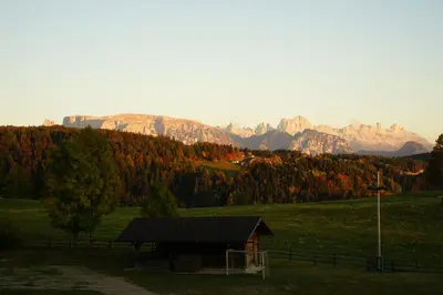 a barn in a field with mountains in the background at Gasthof Mesnerwirt in Auna di Sopra