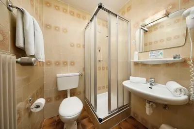 a bathroom with a toilet and a sink and a shower at Gasthof Mesnerwirt in Auna di Sopra