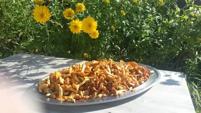 a plate of food on a table in front of flowers at Hotel Nevada in Campitello di Fassa