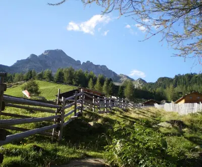 a fence in a field with mountains in the background at Im weißen Schlössl Friedemann in Rasùn di Sotto