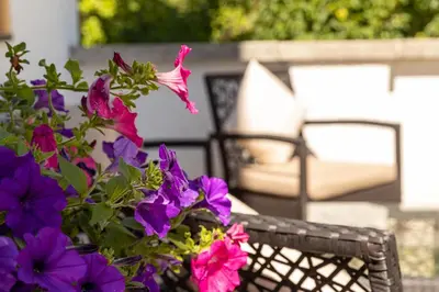 a wicker chair with a bouquet of purple flowers at Landhaus am Gries in Lana