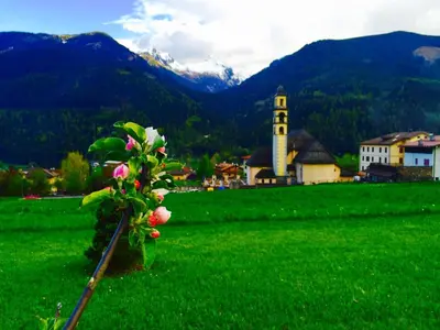 a plant in a field with a church and mountains at Roe Apartment in Panchia