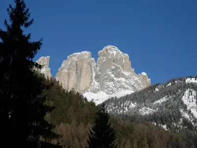 a mountain with snow and trees in the foreground at Garni Festil in Campitello di Fassa