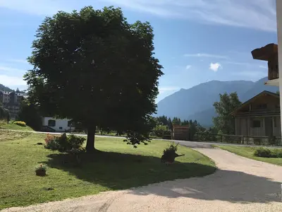 a tree sitting in the grass next to a road at Appartamento Sole in Borca di Cadore