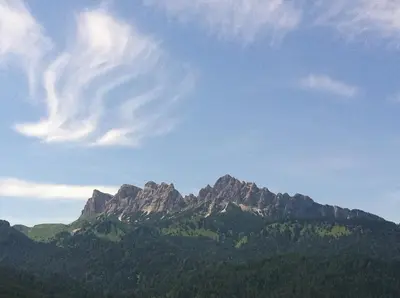 a view of a mountain with trees and a sky at Appartamento Sole in Borca di Cadore