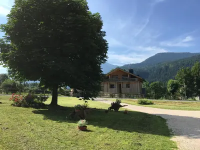 a house with a tree in front of a yard at Appartamento Sole in Borca di Cadore