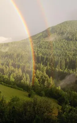 a rainbow over a green field with trees at Villa Ried in Perca