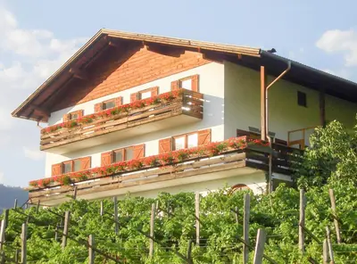 a house with flower boxes on the side of it at Partschillerhof in Fiè