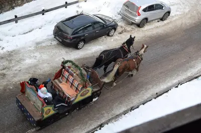 a horse drawn carriage on a road with a car at La Casa Duron in Campitello di Fassa