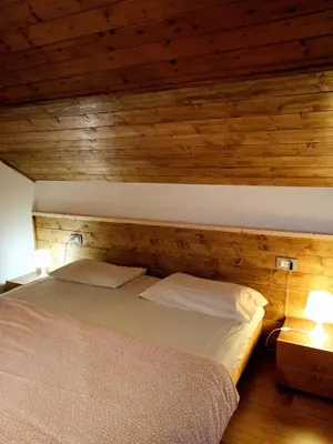 a bed in a room with a wooden wall at La Casa Duron in Campitello di Fassa