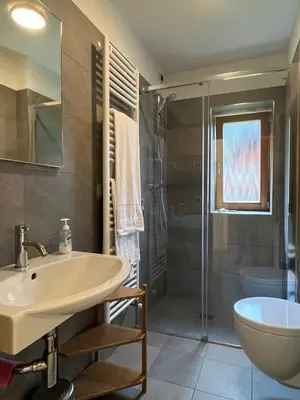 a bathroom with a sink and a shower and a toilet at Casa Alfredino in Rocca Pietore