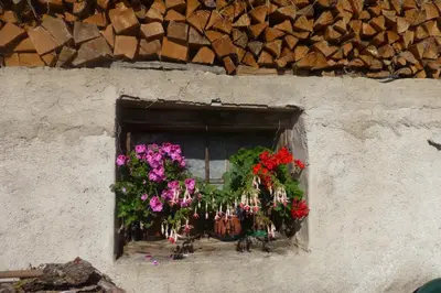 a window with a bunch of flowers on it at Tratterhof Apartments in Vallarga